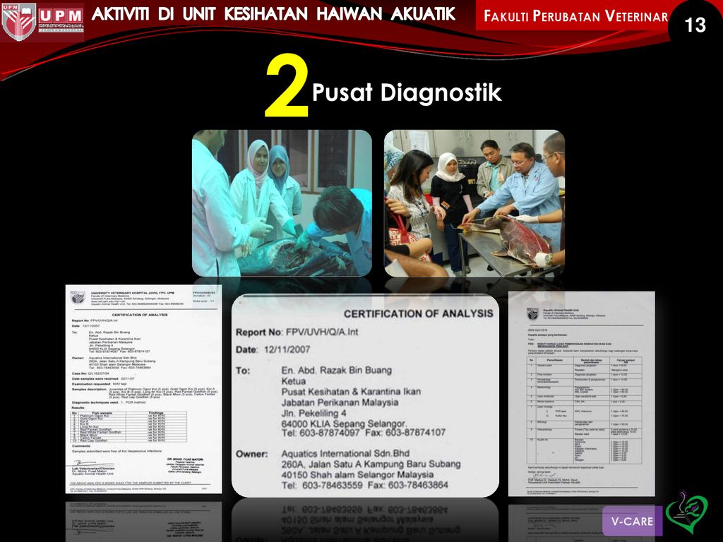 Kumpulan Inovatif u0026 Kreatif - ppt download