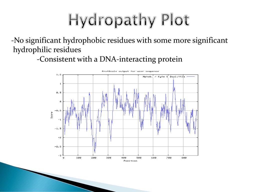 Hydropathy Plot No significant hydrophobic residues with some more significant. hydrophilic residues.