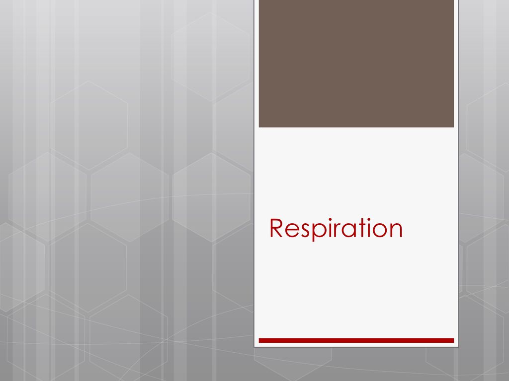 Respiration. - ppt download