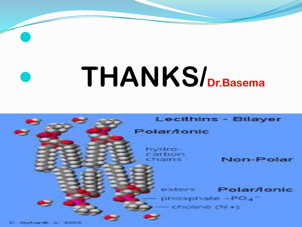 THANKS/Dr.Basema