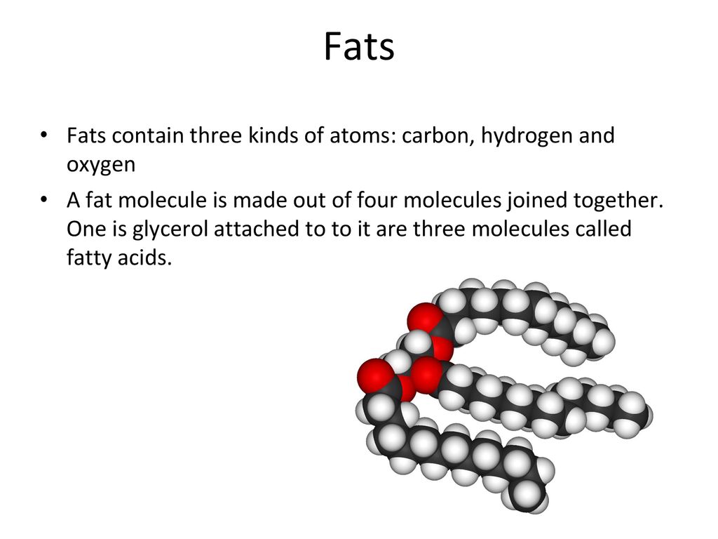 Fats by hanna letizia bella ppt download