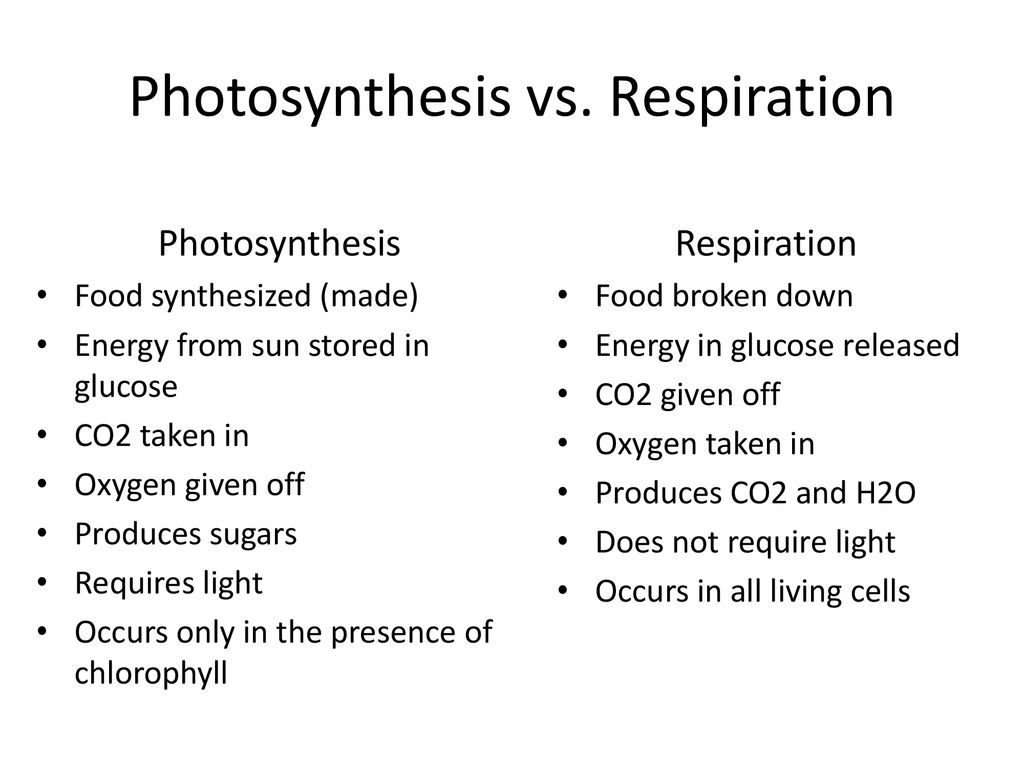 Cellular Respiration Agriculture Biology. - ppt download