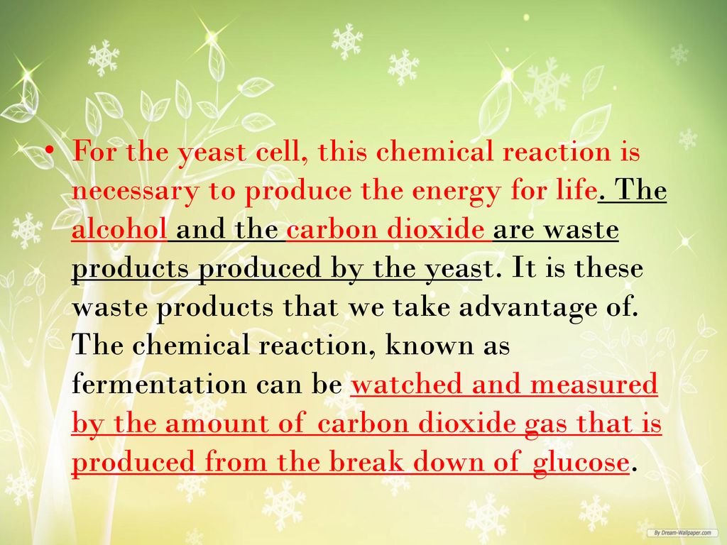 For the yeast cell, this chemical reaction is necessary to produce the energy for life.