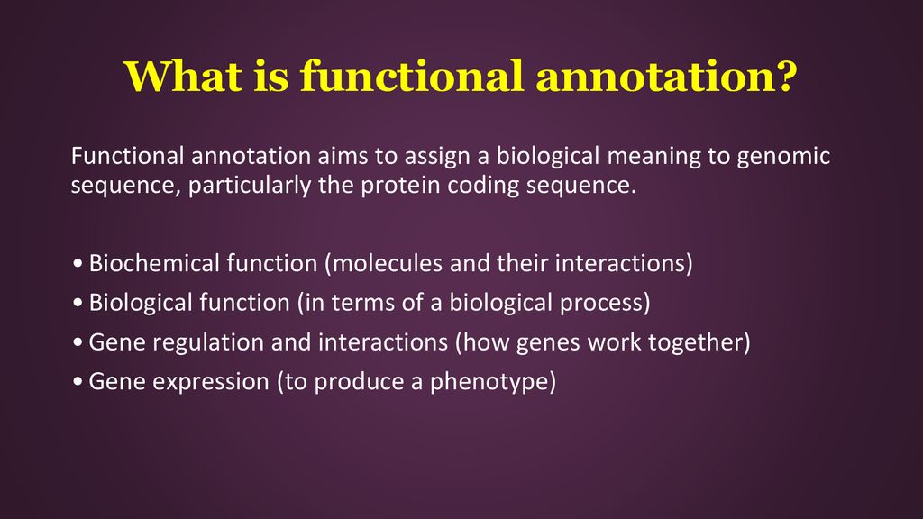 what is functional annotation