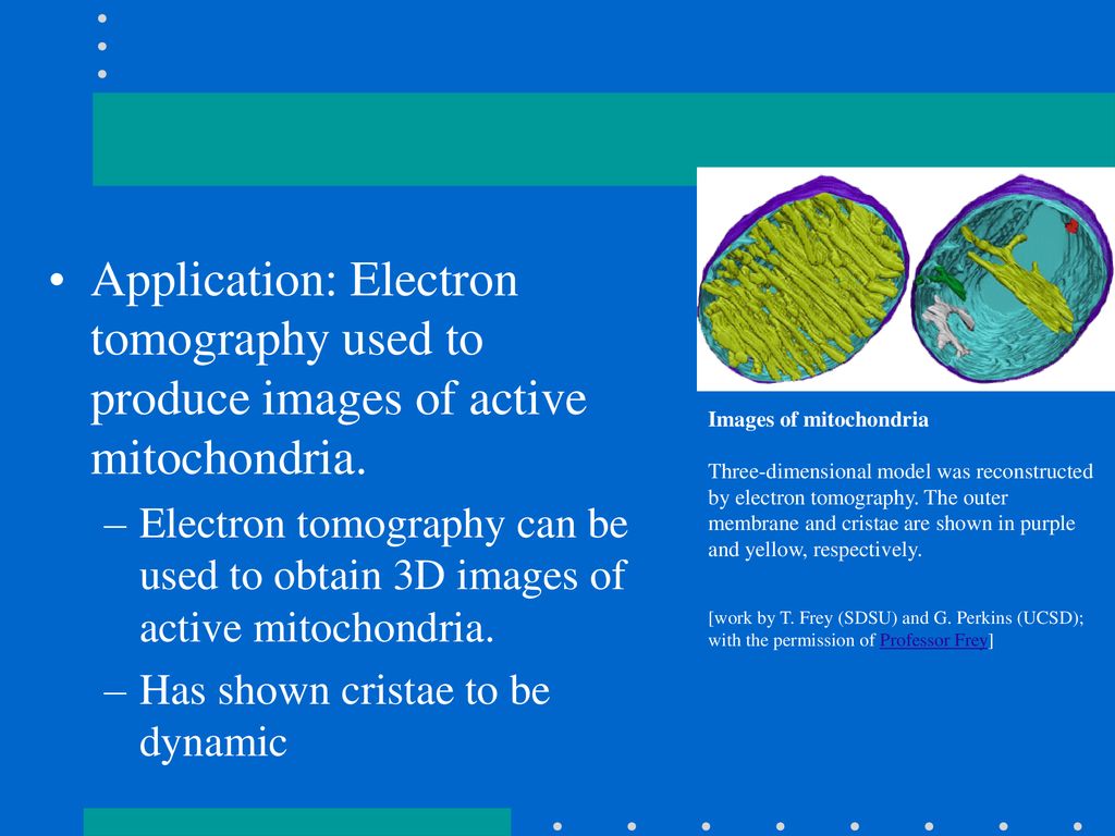 Application: Electron tomography used to produce images of active mitochondria.