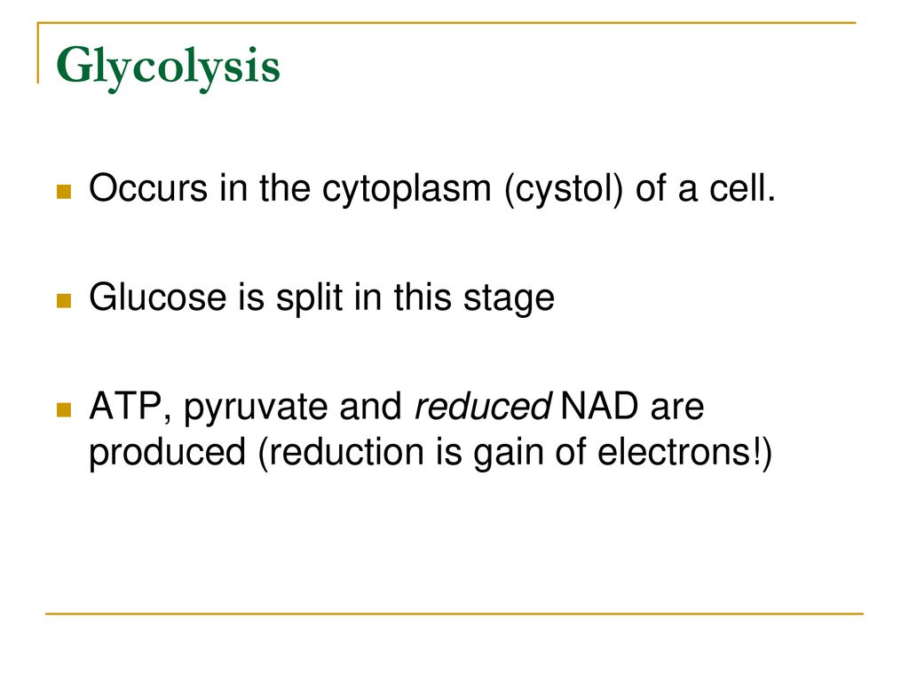 ATP use, synthesis and structure - ppt download