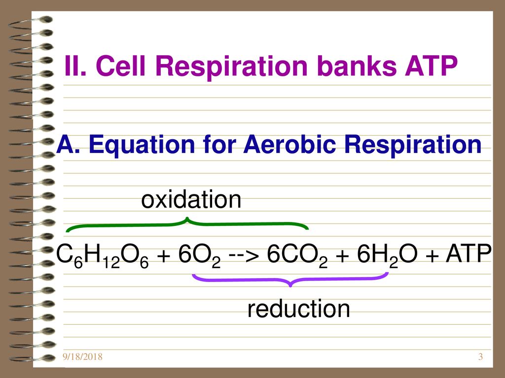 Chapter 8 Cellular Respiration Ppt Download
