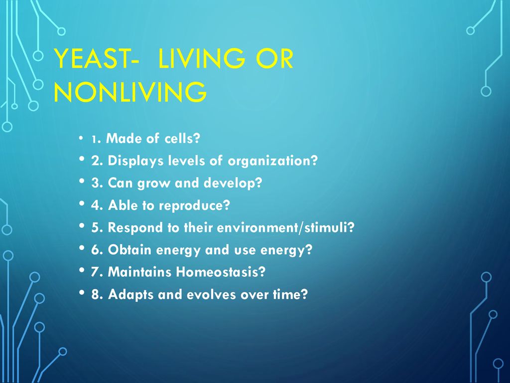Yeast- living or nonliving