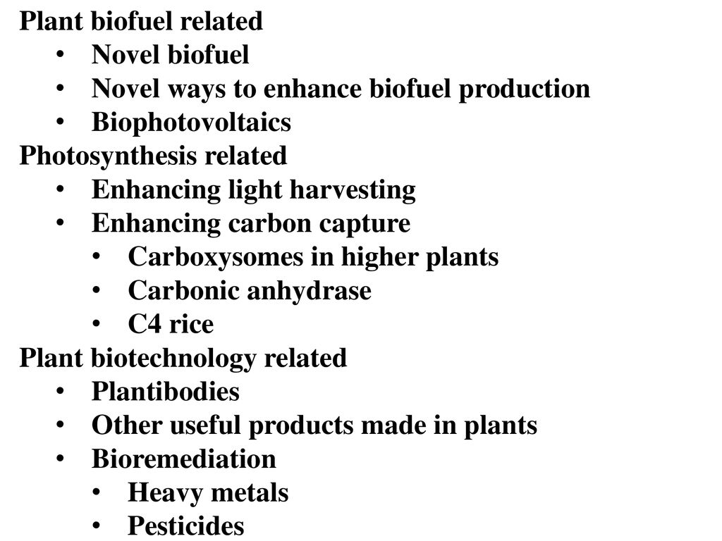 Plant biofuel related Novel biofuel. Novel ways to enhance biofuel production. Biophotovoltaics. Photosynthesis related.