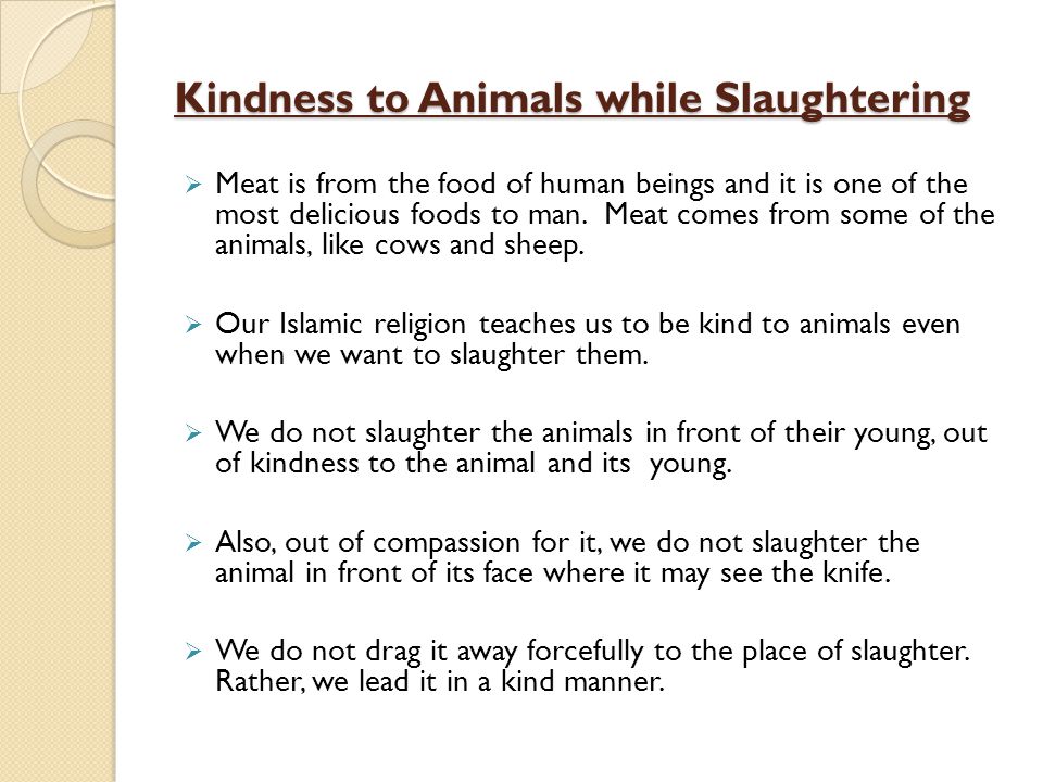 KINDNESS TO THE ANIMALS - ppt video online download
