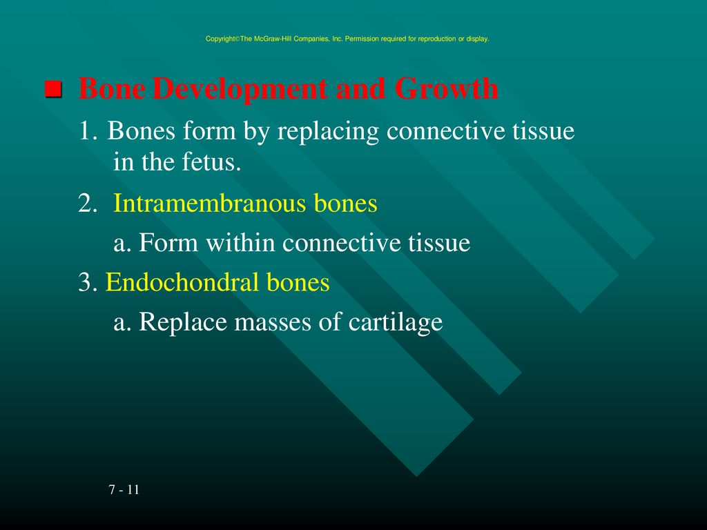 Chapter 7 Skeletal System. Biology Diagrams