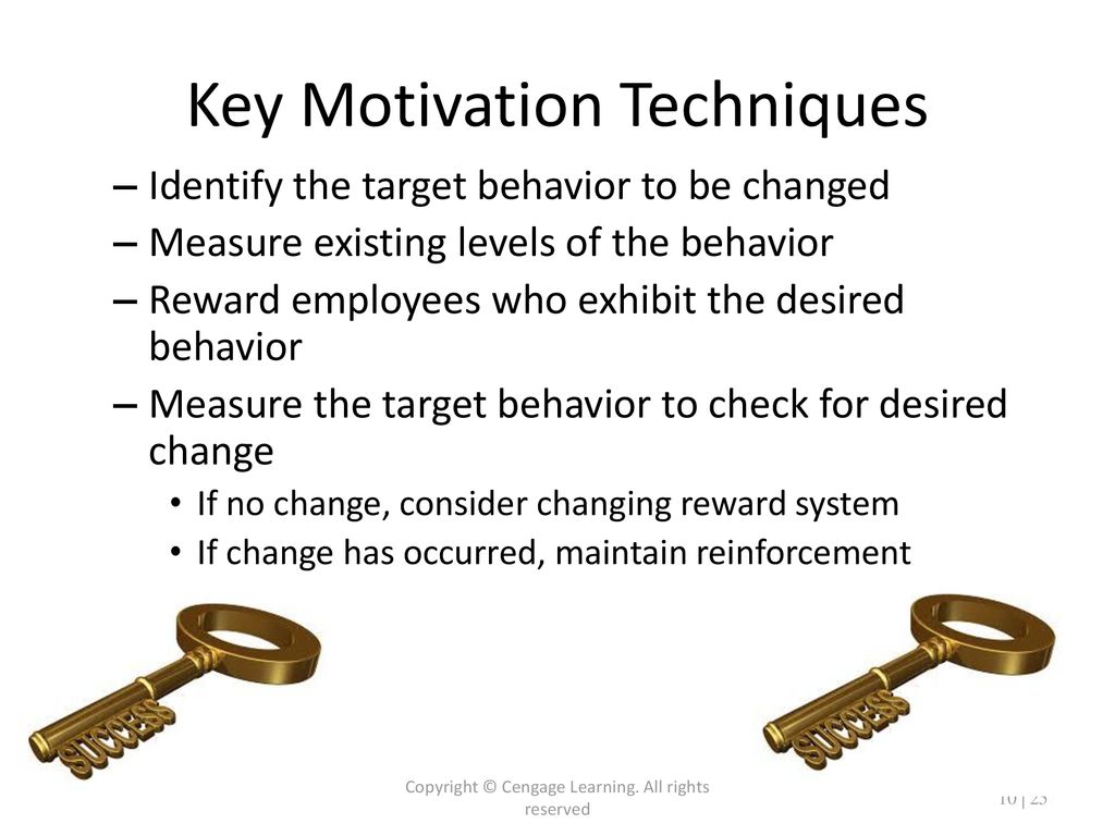 Key Motivation Techniques