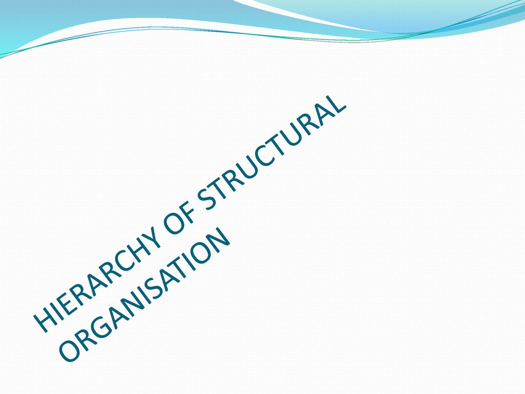 HIERARCHY OF STRUCTURAL ORGANISATION