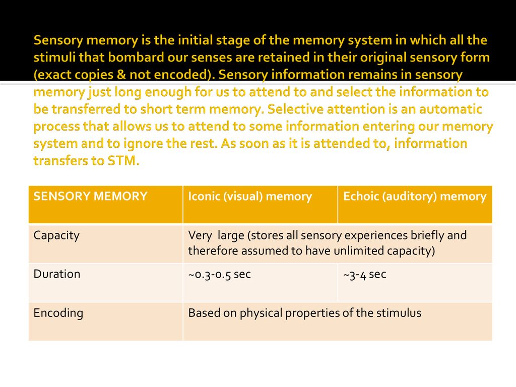 Studying For The Exam Ppt Download