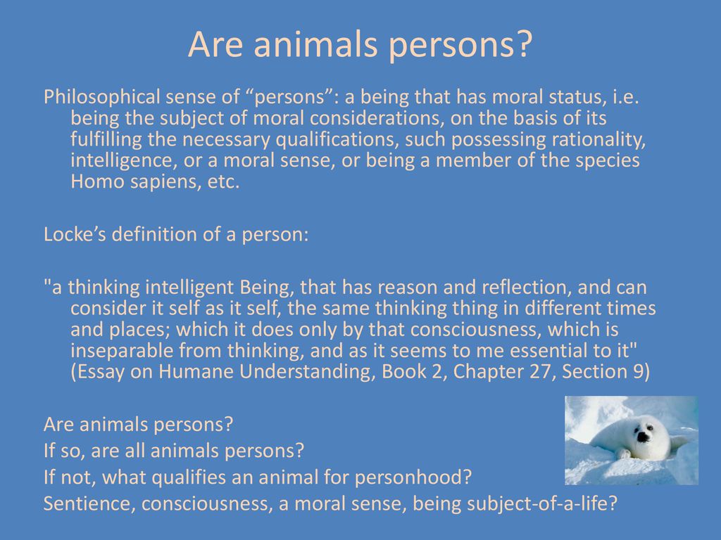 Animals and Persons. - ppt download
