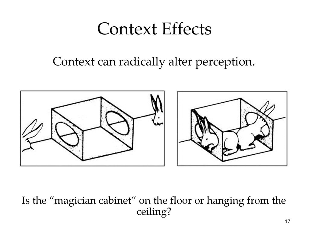 Unit 5 Senation And Perception Day 4 Illusions And Esp Ppt Download