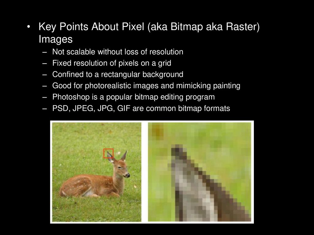 Photoshop ppt download
