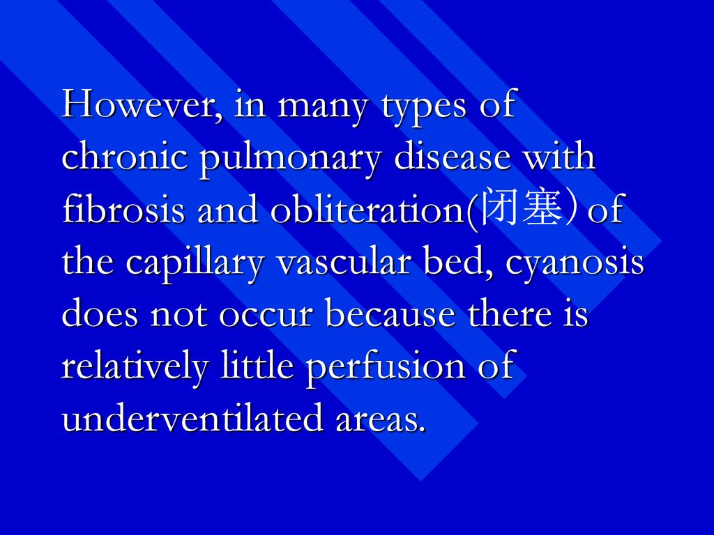 However, in many types of chronic pulmonary disease with fibrosis and obliteration(闭塞)of the capillary vascular bed, cyanosis does not occur because there is relatively little perfusion of underventilated areas.
