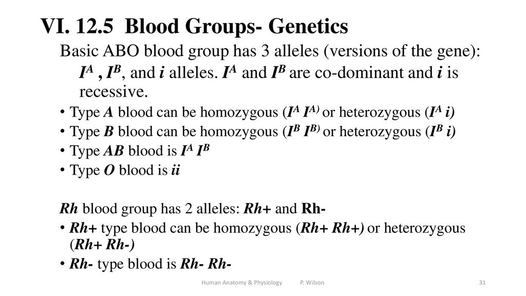 Human Anatomy Physiology P Wilson Ppt Download human-anatomy-physiology-p-wilson-ppt-download