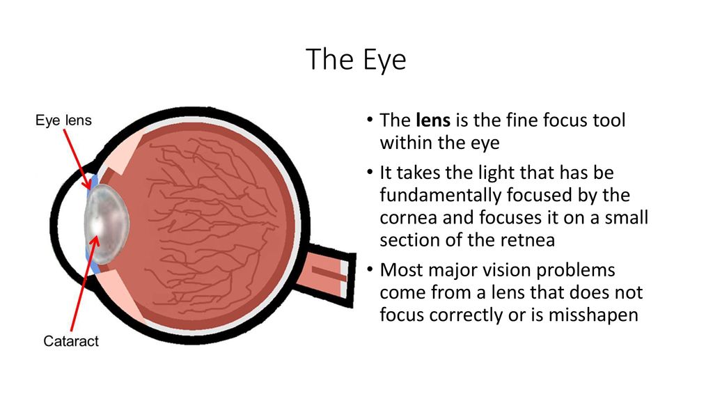 Vision Ppt Download