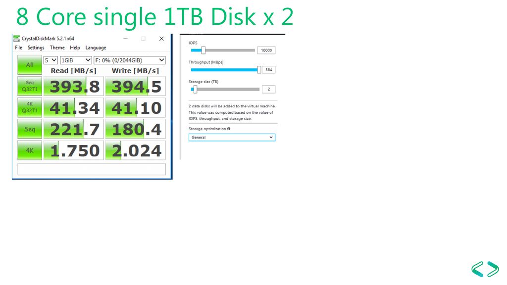 8 Core single 1TB Disk x 2