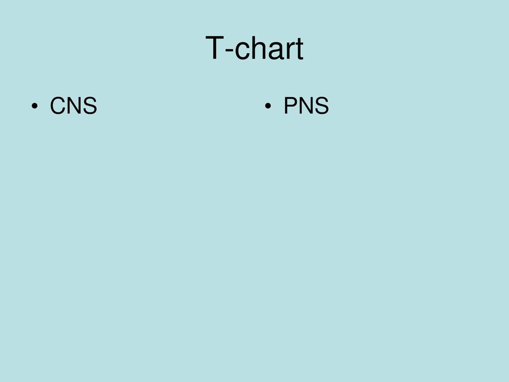 Cns Pns Chart