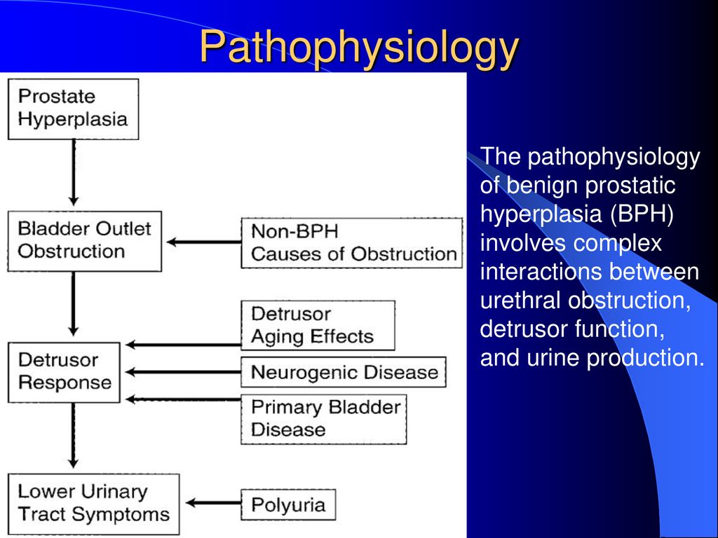 benign prostatic hyperplasia pathophysiology symptoms