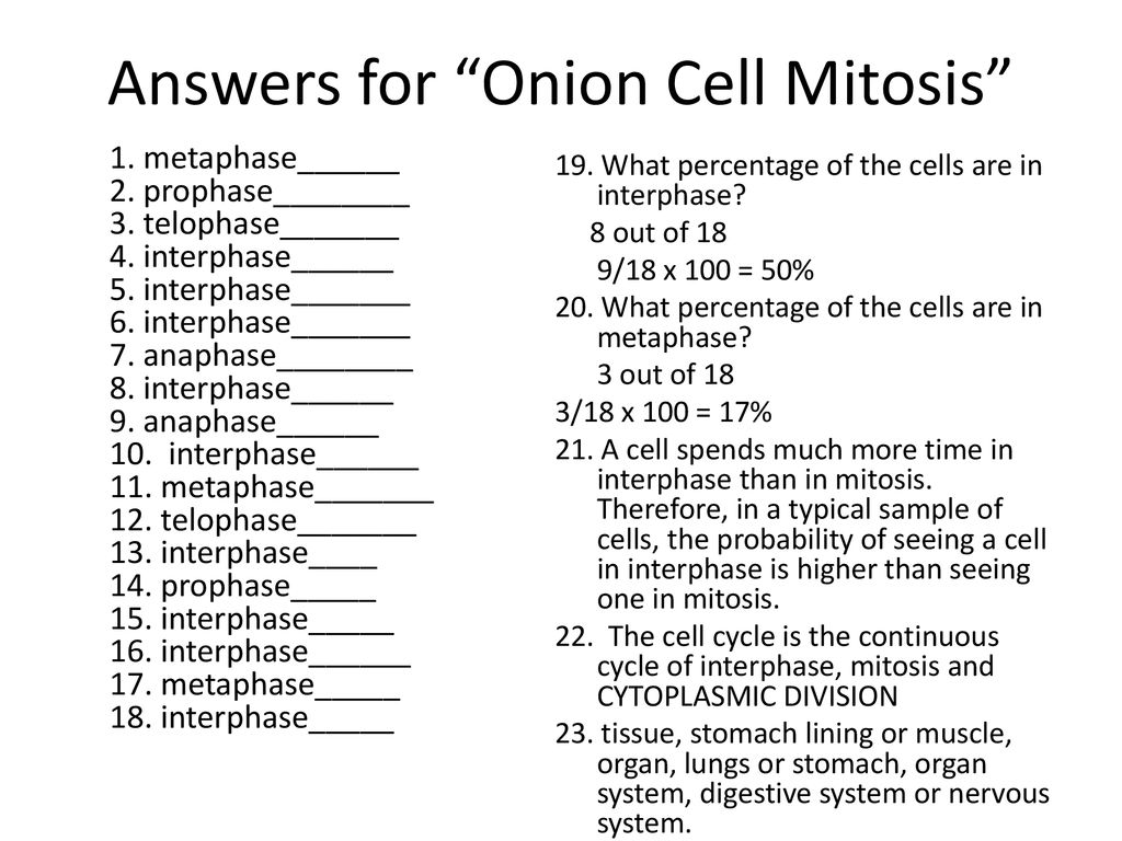 Welcome Grade 11 Science Homework Today Parents sign form – Sept Regarding Onion Cell Mitosis Worksheet Answers