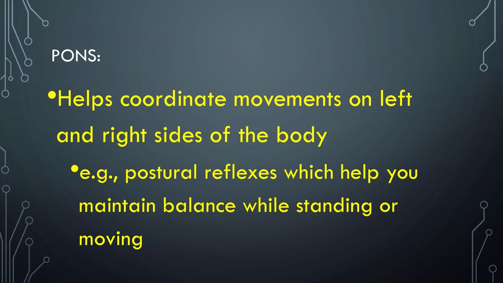Helps coordinate movements on left and right sides of the body