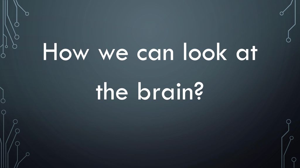 How we can look at the brain