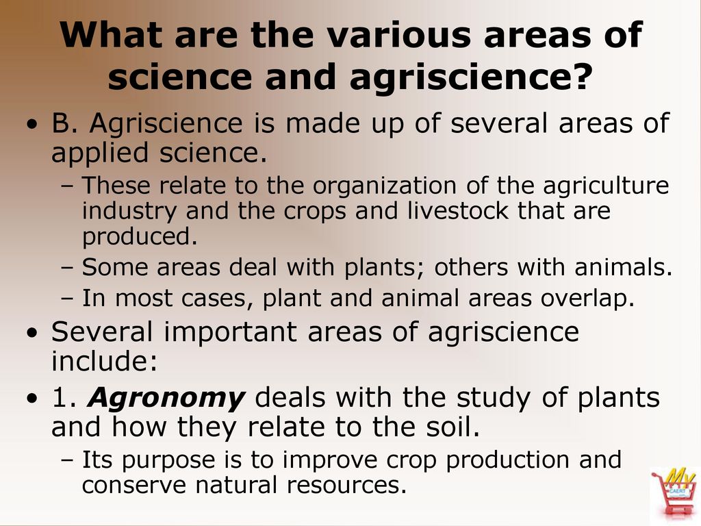 Animal, Plant & Soil Science - Ppt Download