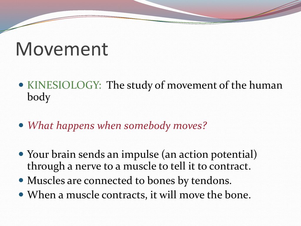 Movement KINESIOLOGY: The study of movement of the human body