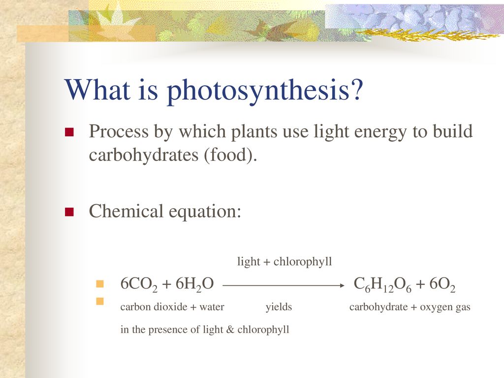 Trapping Light Energy to Build Carbohydrates - ppt download