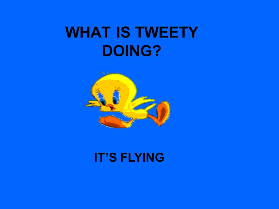 WHAT IS TWEETY DOING IT’S FLYING