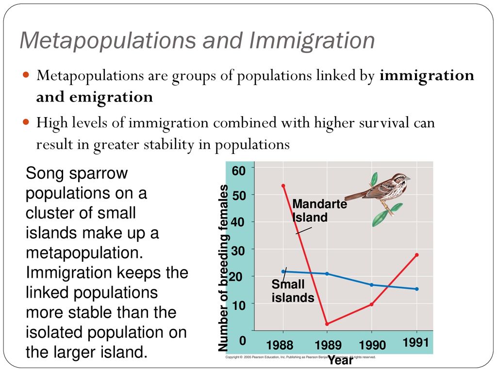 Metapopulations and Immigration