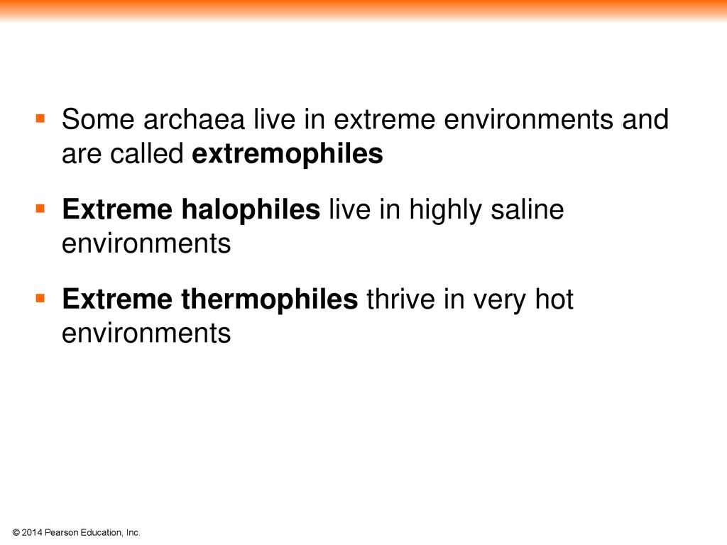 Chapter 27 Bacteria. - ppt download