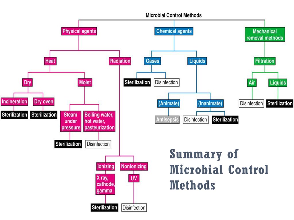 Controlling microbial growth in the environment ppt download