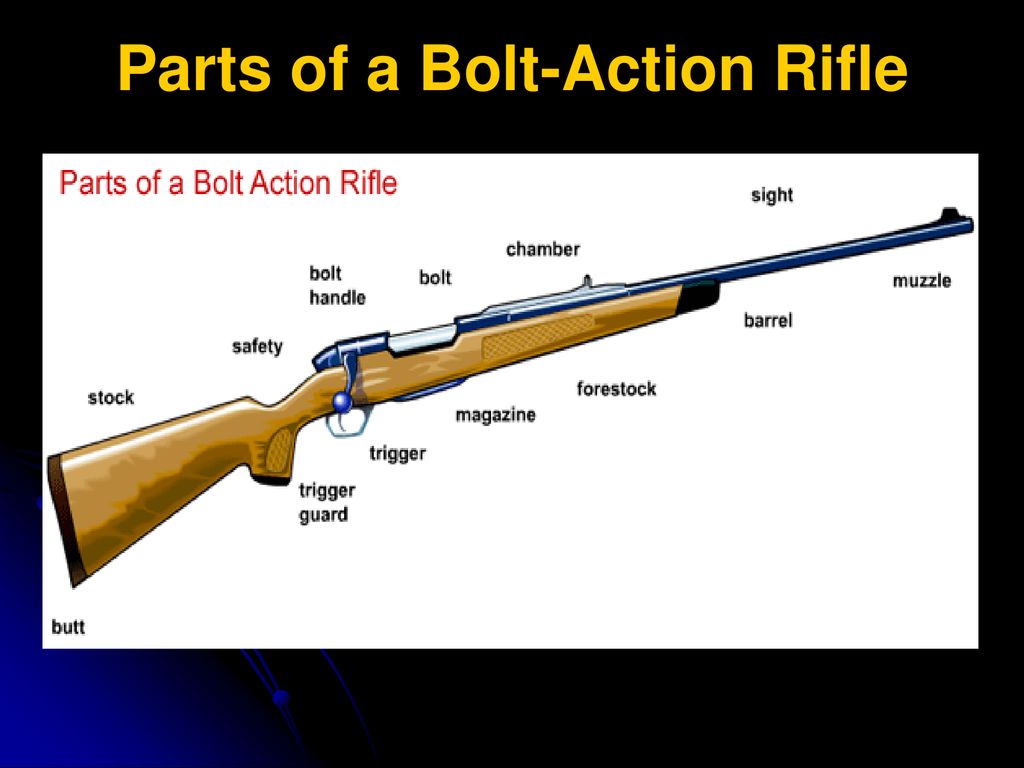 Forensic Ballistics. - ppt download