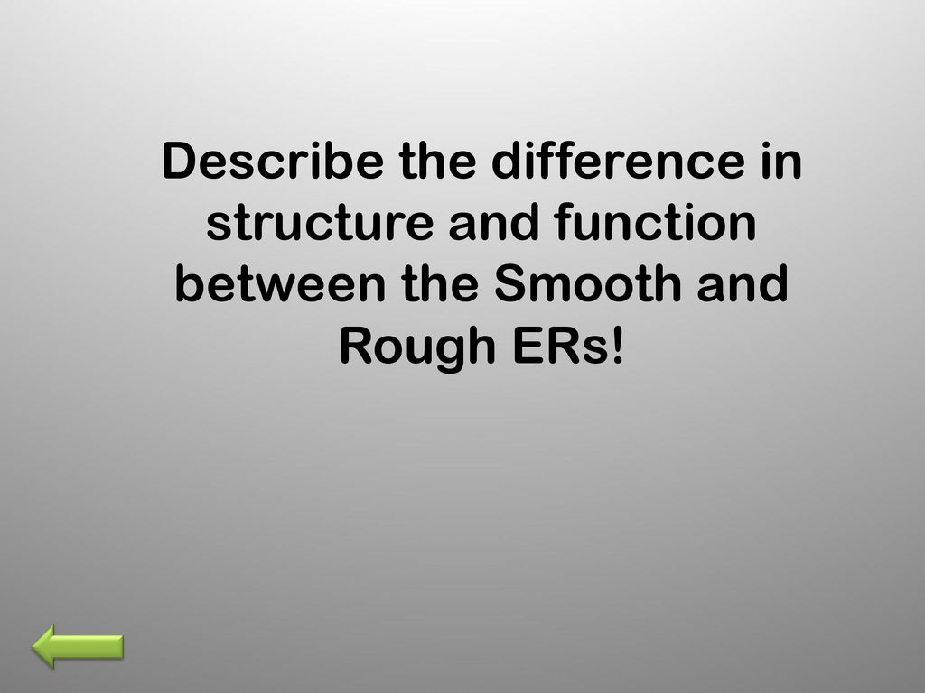 Cell Structure and Function ppt download