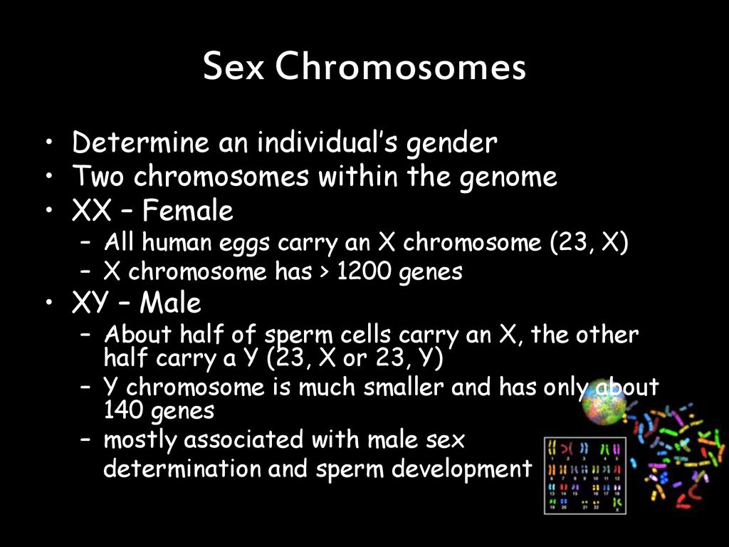 Human Genetics Chapter ppt download