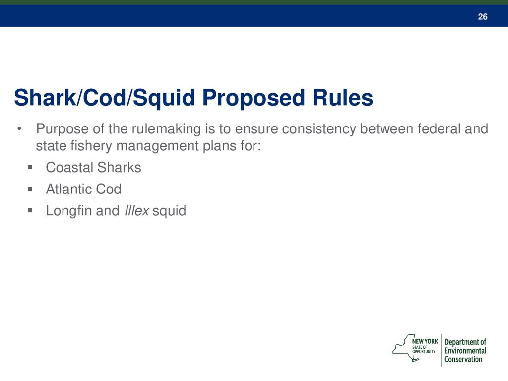 Shark/Cod/Squid Proposed Rules