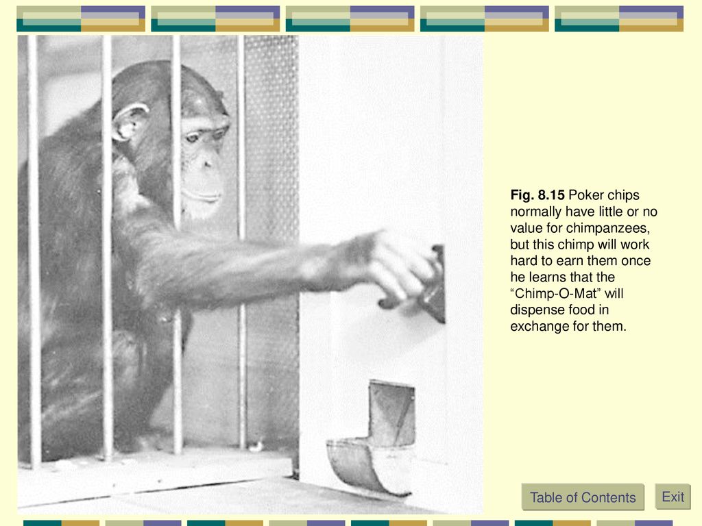 Conditioning And Learning Ppt Download