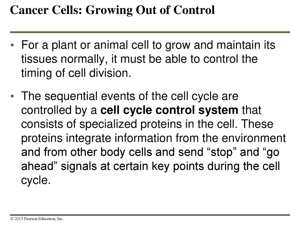 Cellular Reproduction: Cells from Cells Biology Diagrams