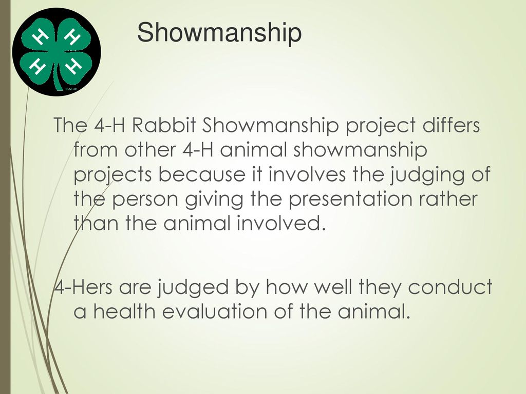 Basic 4 H Rabbit Showmanship Ppt Download basic-4-h-rabbit-showmanship-ppt-download