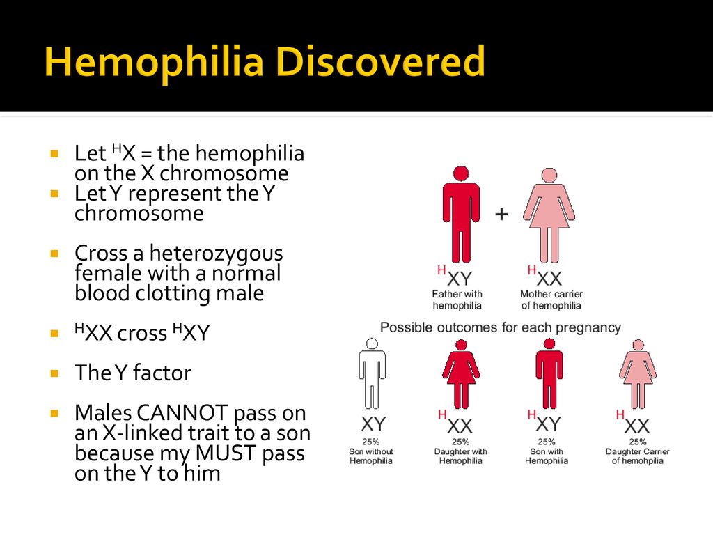 Sex Linkage And Pedigrees Ppt Download 1543