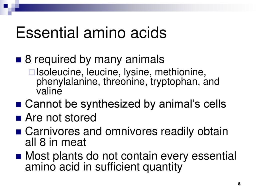 CHAPTER 41 NUTRITION, DIGESTION, AND ABSORPTION ppt download