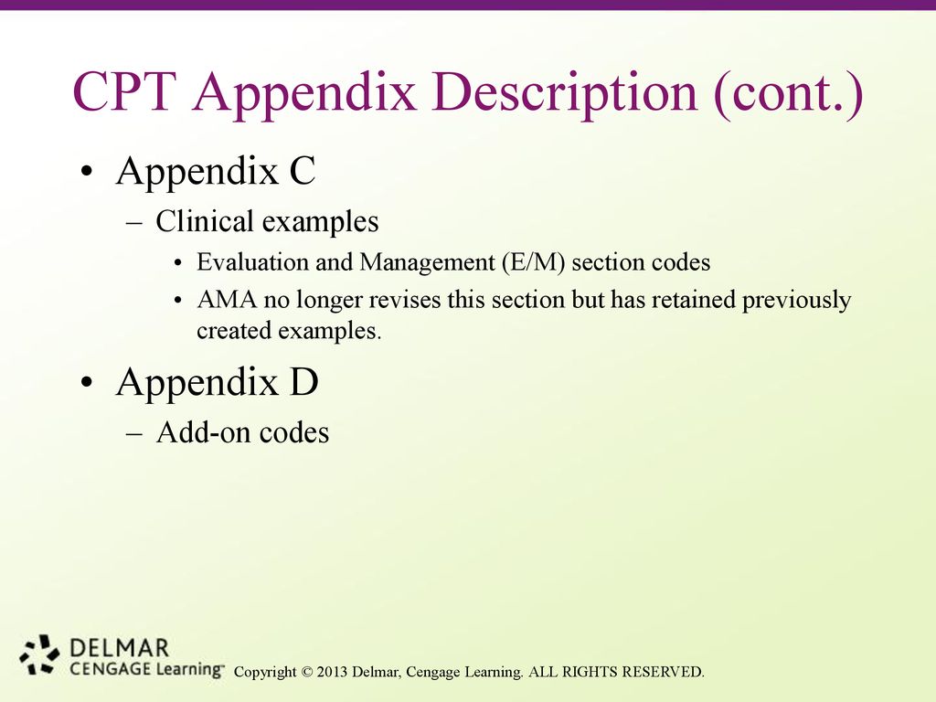 ama appendix format
