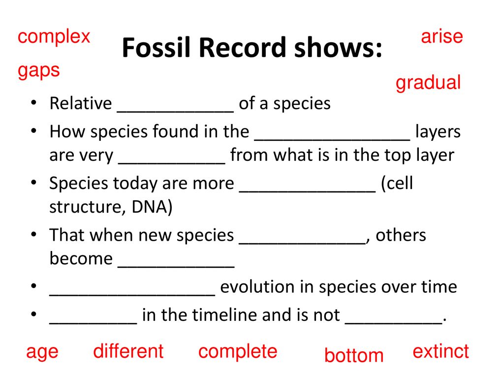 20A – Evidence of Evolution - ppt download In Evidence Of Evolution Worksheet