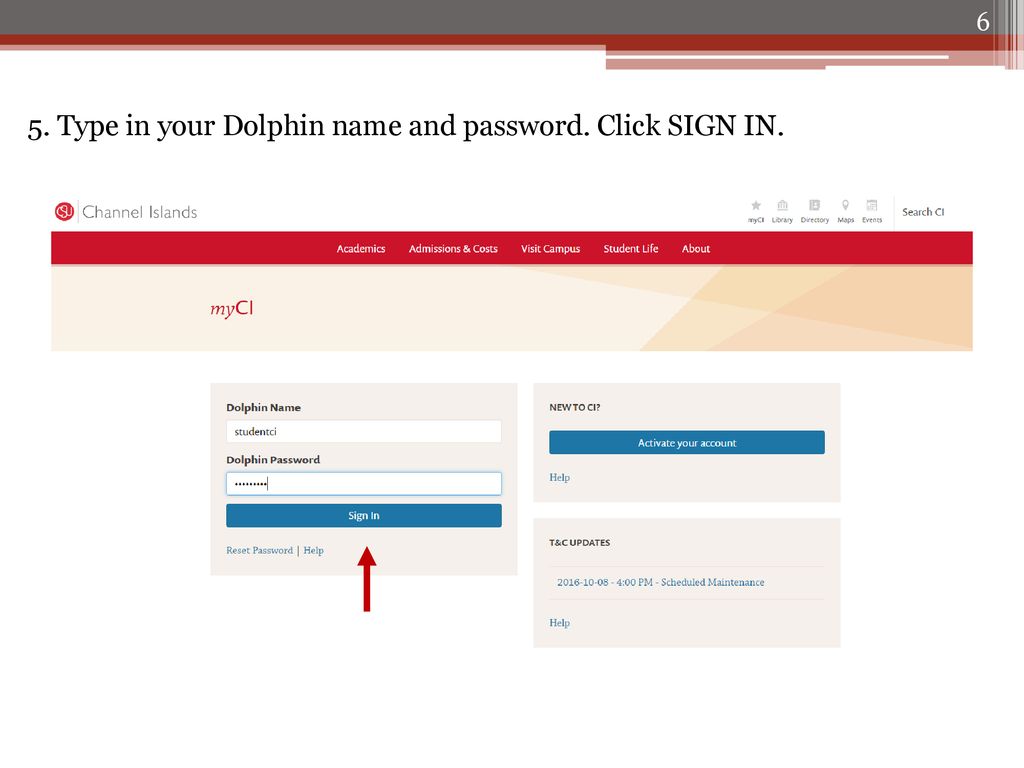 5. Type in your Dolphin name and password. Click SIGN IN.