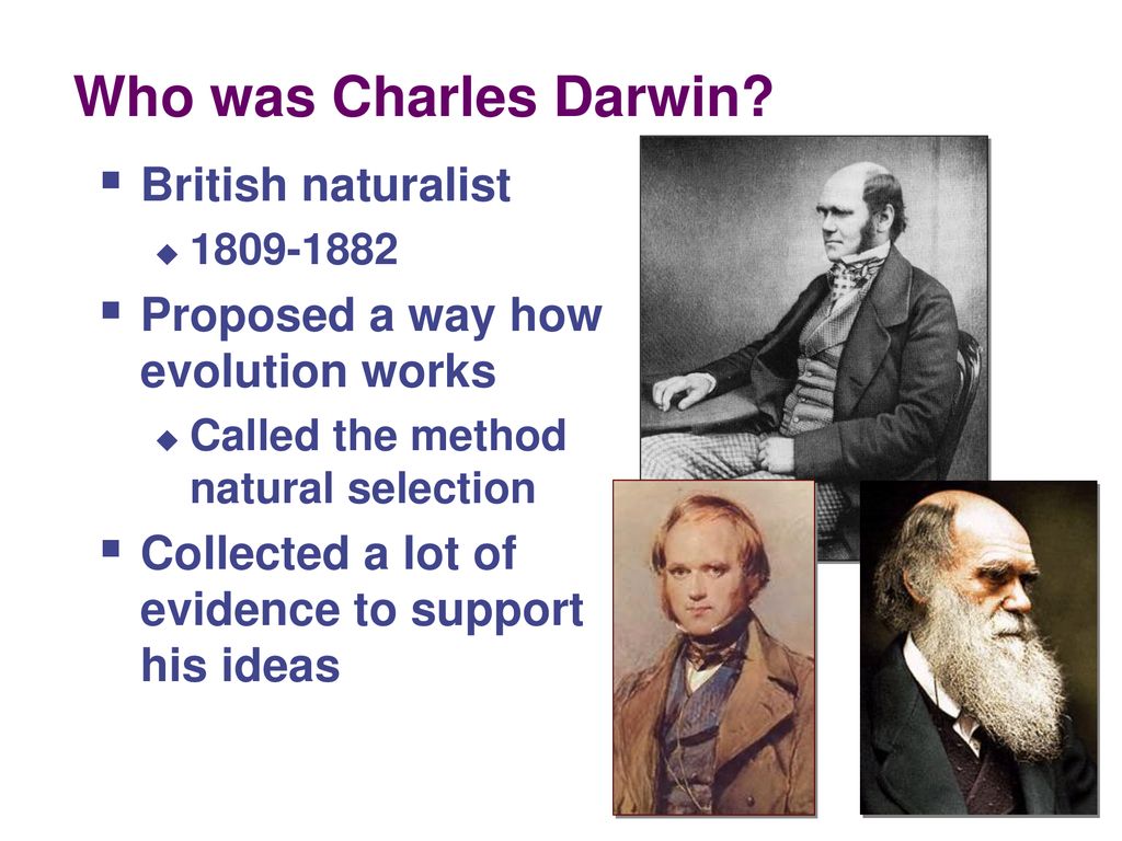 Darwin, Evolution and Natural Selection - ppt download